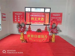 嘉定区博园路铂悦西郊现代中式536㎡装修