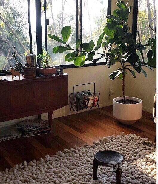 绿色植物装修效果图